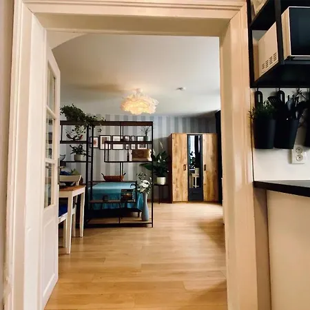 Dům U Zeleného Stromu Apartmán Sušice