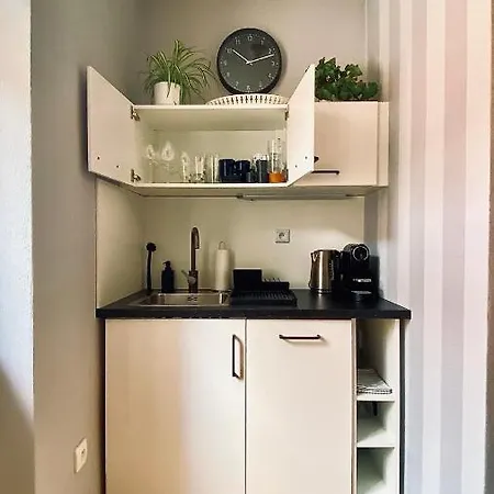 Dům U Zeleného Stromu Sušice
