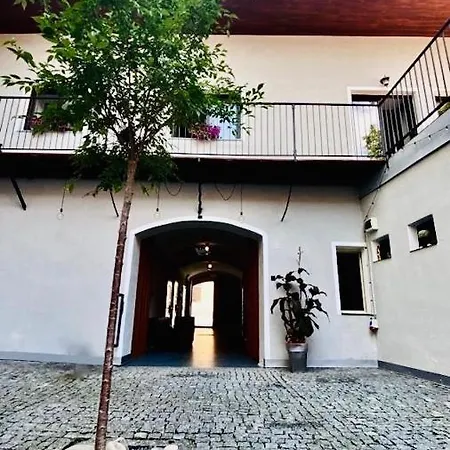 Dům U Zeleného Stromu Apartmán *