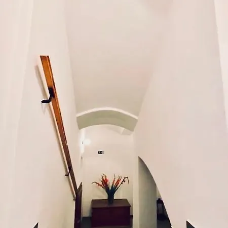 Dům U Zeleného Stromu * Sušice